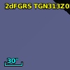 2dFGRS TGN313Z026