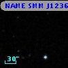 NAME SMM J123608+621251