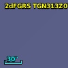 2dFGRS TGN313Z079