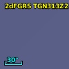 2dFGRS TGN313Z216