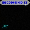 [DSG2004] NiD  13