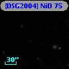 [DSG2004] NiD  75