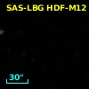 SAS-LBG HDF-M12