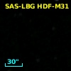 SAS-LBG HDF-M31