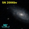 SN 2006bv
