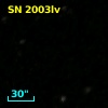 SN 2003lv