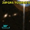 2dFGRS TGS890Z348