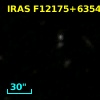 IRAS F12175+6354