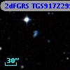 2dFGRS TGS917Z299