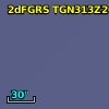 2dFGRS TGN313Z206
