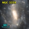 NGC  3359