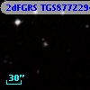 2dFGRS TGS877Z294