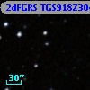2dFGRS TGS918Z304