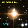 V* V561 Per