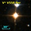 V* V558 Per