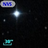 NVSS J101636+592210
