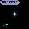 HD 237782