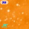 [MHL2007] G287.4779-00.5463 1