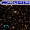 [MHL2007] G293.1266-00.0739 1