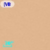 [VB99] OMC 1 N1