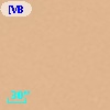 [VB99] OMC 1 N2