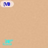 [VB99] OMC 1 N0