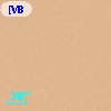 [VB99] OMC 1 N3