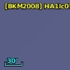 [BKM2008] HA1Ic07-930l