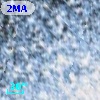 Cl* NGC 5139   LEID   31133
