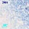 Cl* NGC 5139   LEID   36048