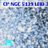 Cl* NGC 5139   LEID   38032