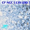 Cl* NGC 5139   LEID   38036