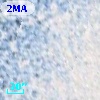 Cl* NGC 5139    WFI  131256