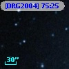 [DRG2004] 75:25
