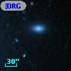 [DRG2004] 81:5