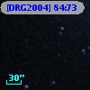 [DRG2004] 84:73