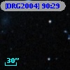 [DRG2004] 90:29