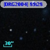 [DRG2004] 89:28