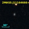 2MASS J11164666+3813324