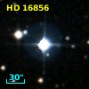HD  16856