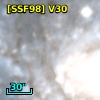 [SSF98] V30