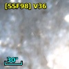 [SSF98] V36