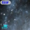 [SSF98] V128