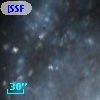 [SSF98] V131