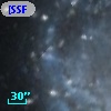 [SSF98] V137