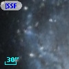 [SSF98] V142