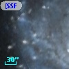 [SSF98] V177