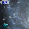 [SSF98] V181