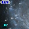 [SSF98] V184