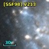 [SSF98] V213